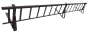 7981.png